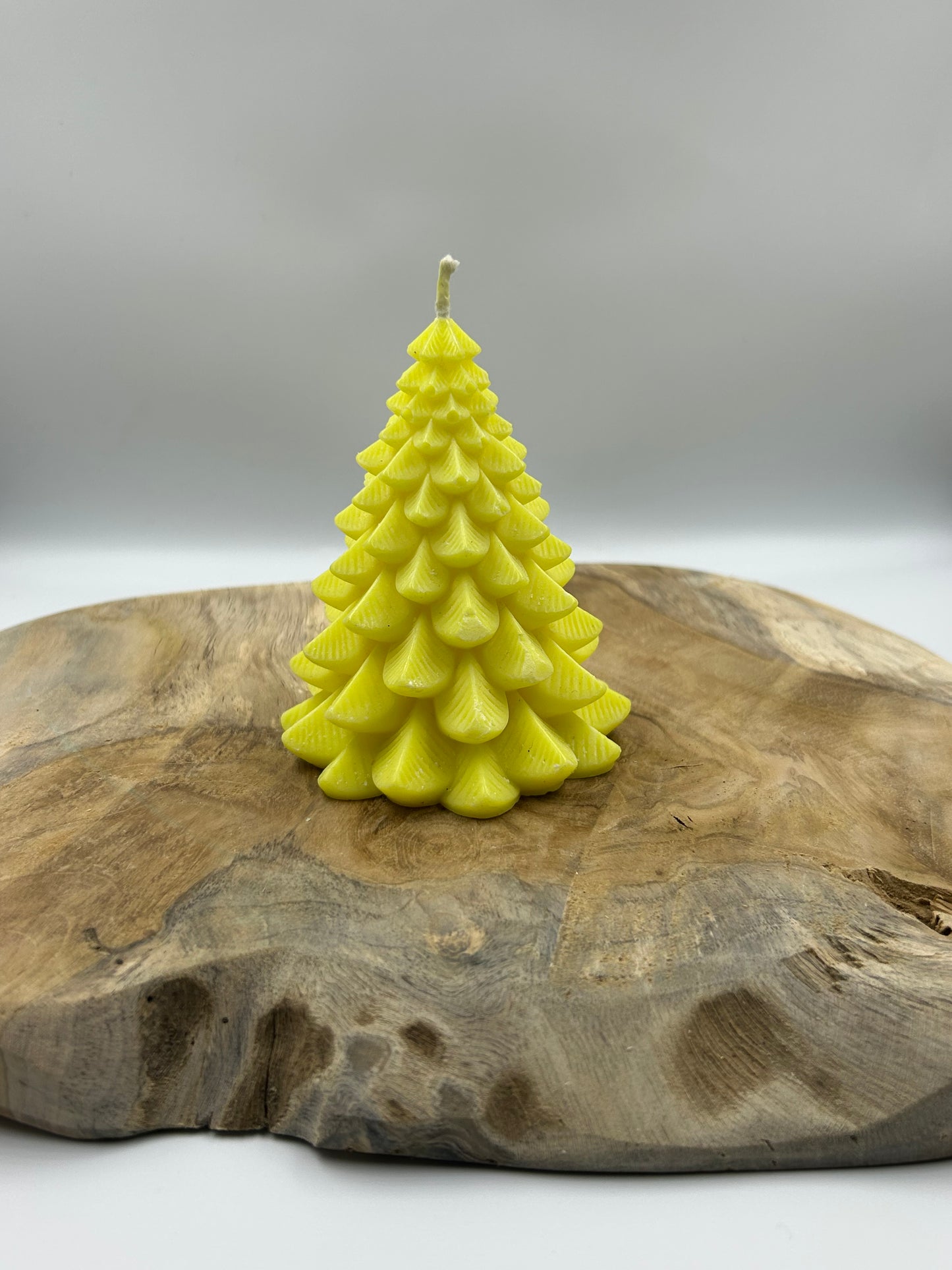 Bougies gros sapin