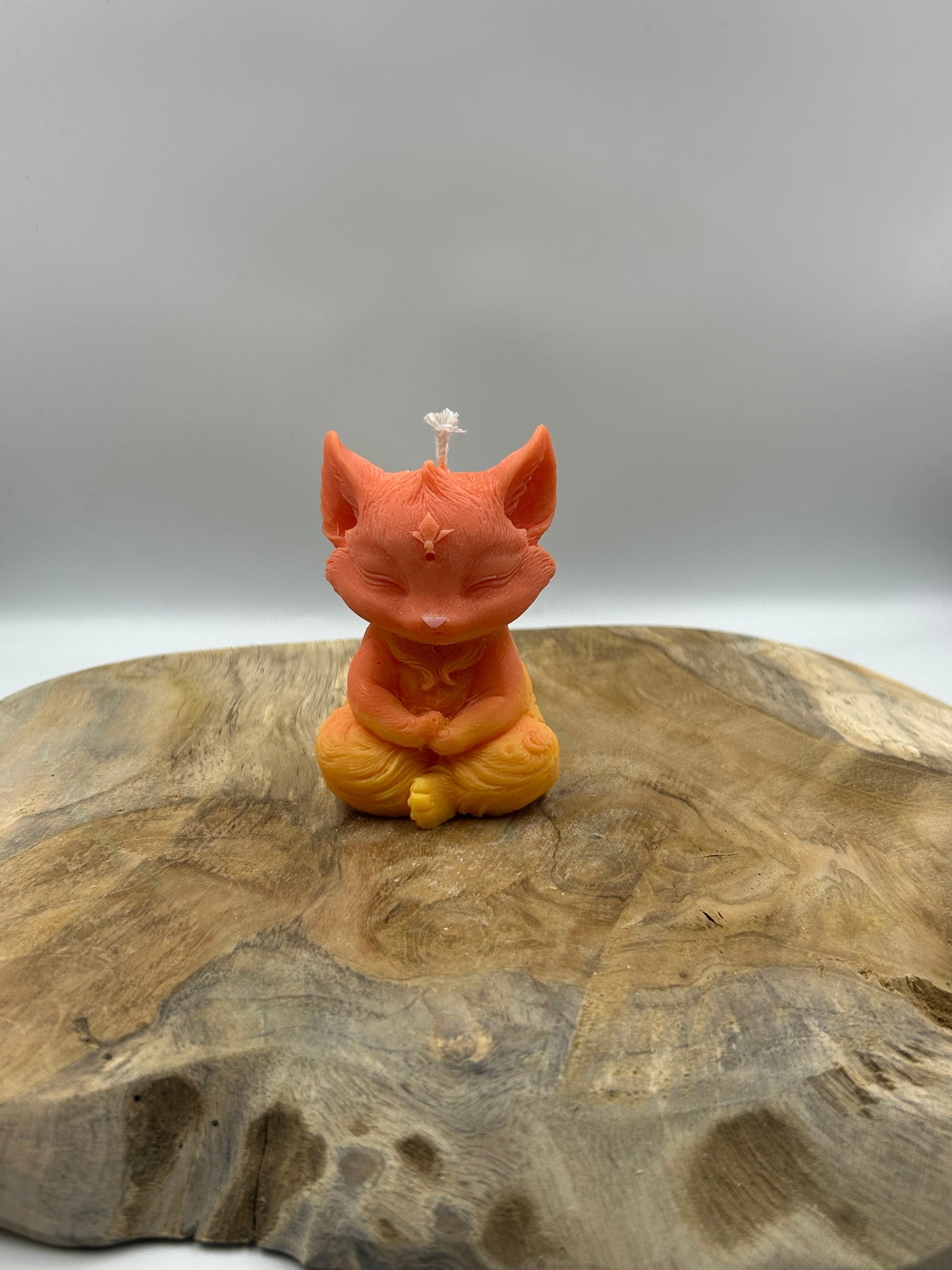 Renard orange jaune