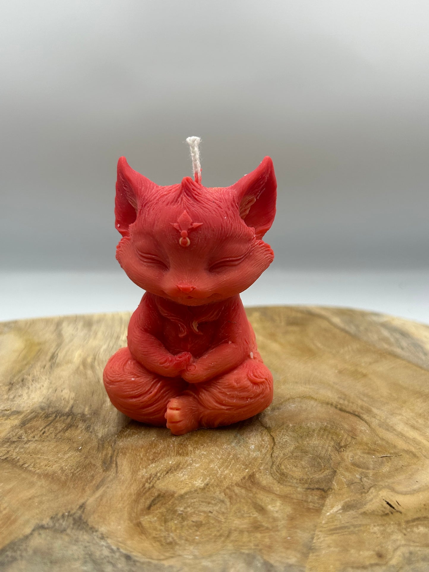 Renard rouge