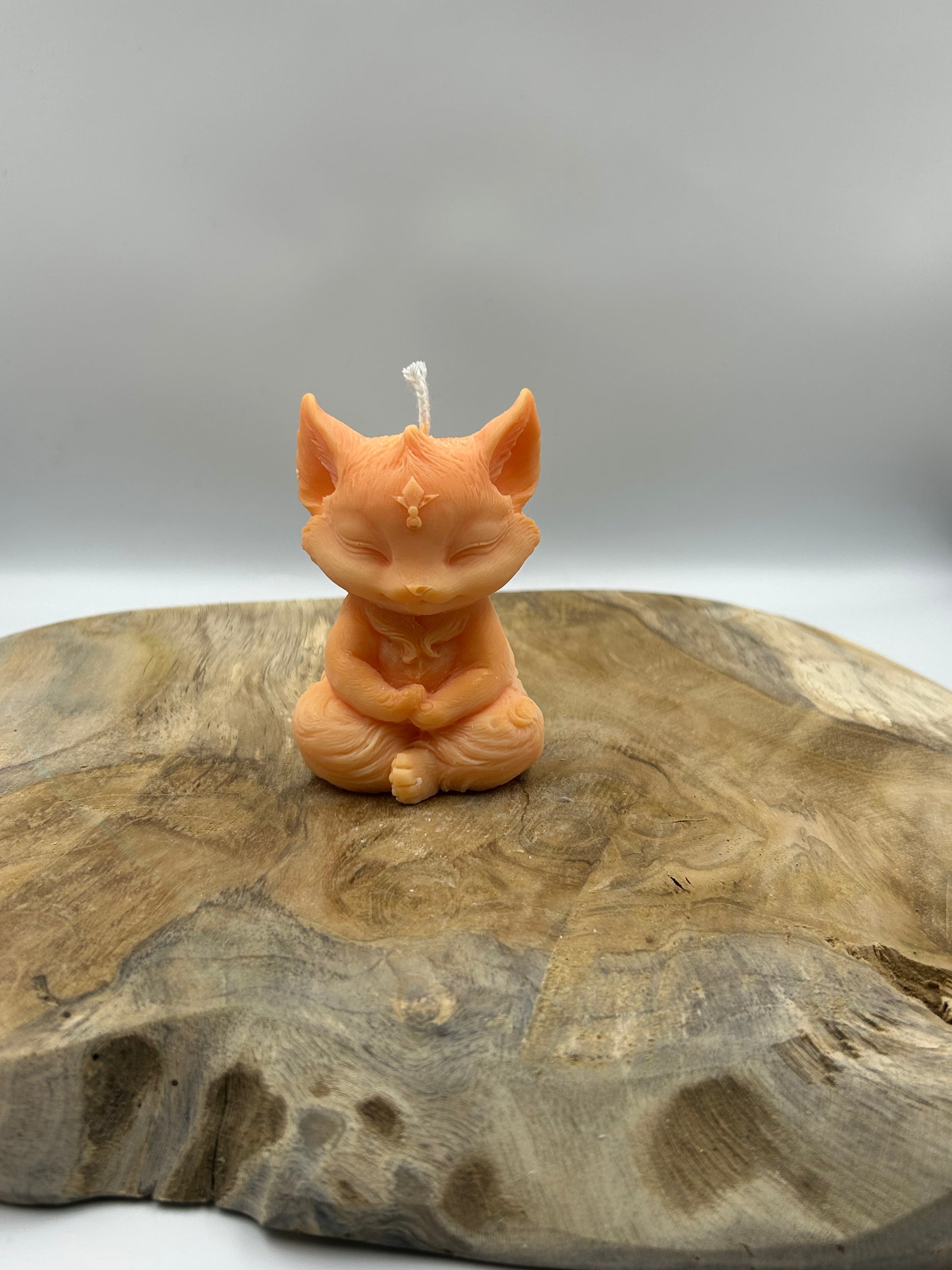 Renard orange