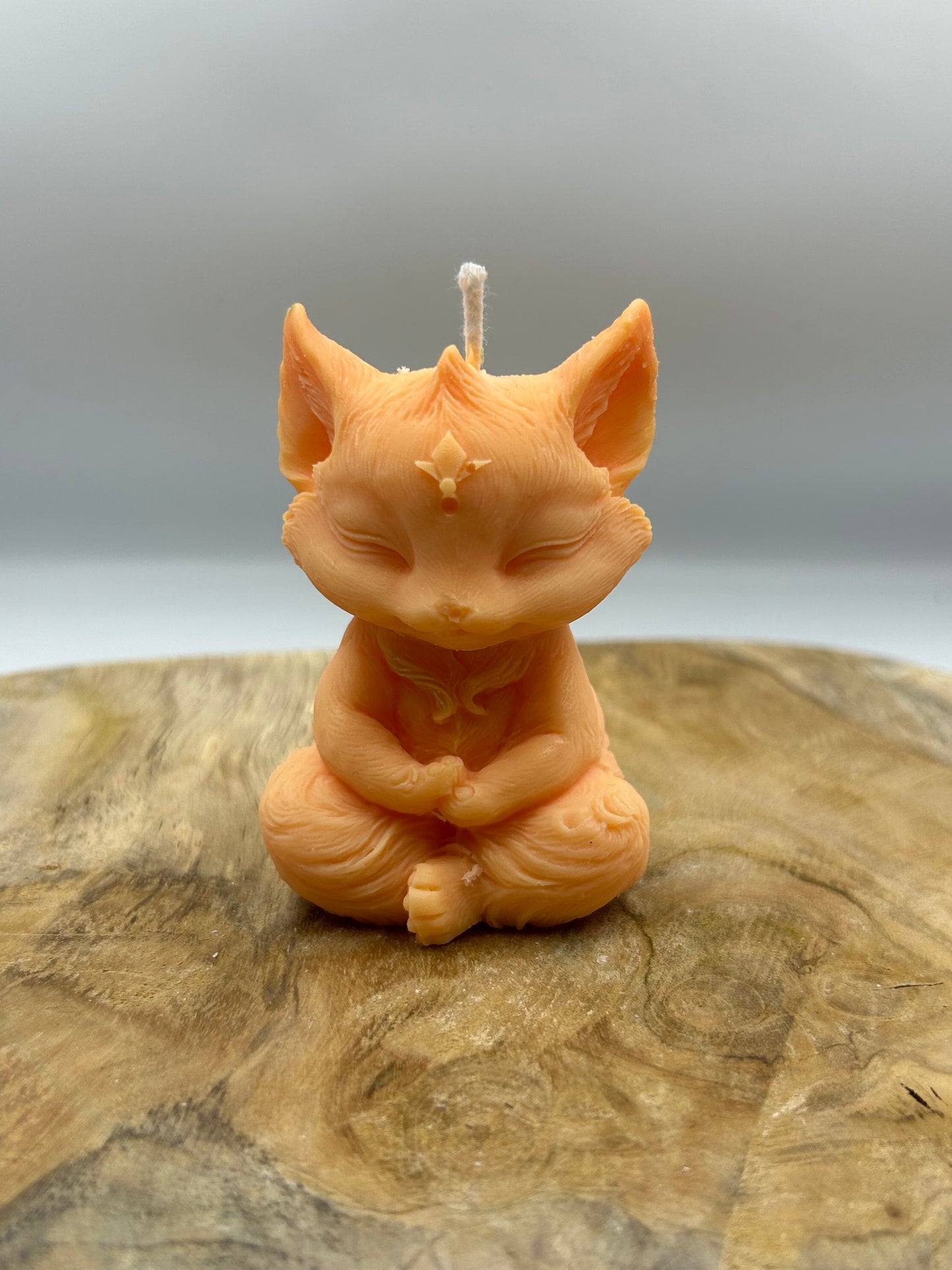 Renard orange